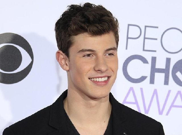 shawn mendes