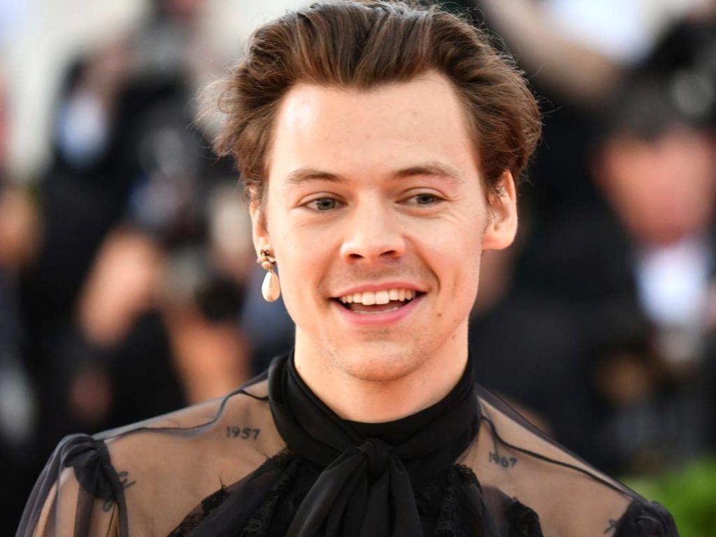 Harry Styles Wiki, Height, Weight, Age, Girlfriend, Family, Biography