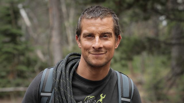 Bear Grylls