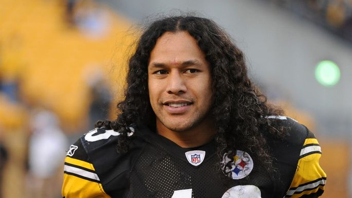 Troy Polamalu - Wikipedia