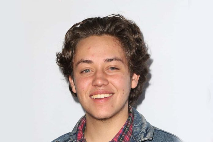 Ethan Cutkosky Wiki, Height, Weight, Age, Girlfriend, Family, Biography ...