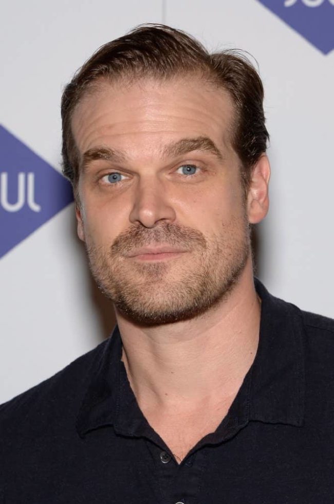 David Harbour Wiki, Height, Weight, Age, Girlfriend, Family, Biography